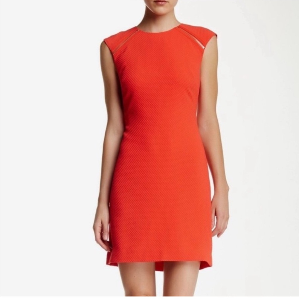 Ted Baker London Vibrant Orange Mini Dress